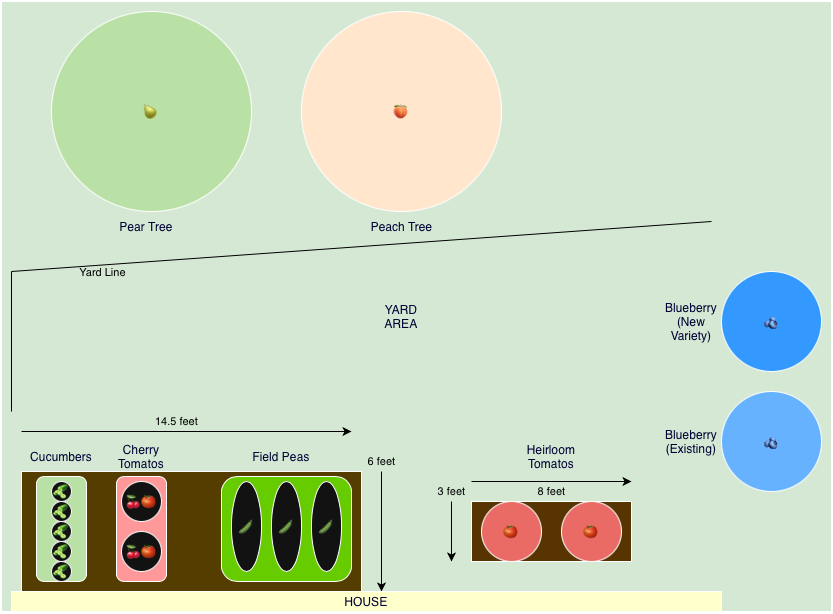 Garden Plan Sketch