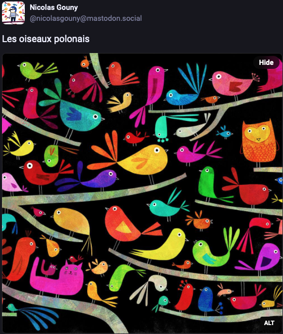 Polish Bird